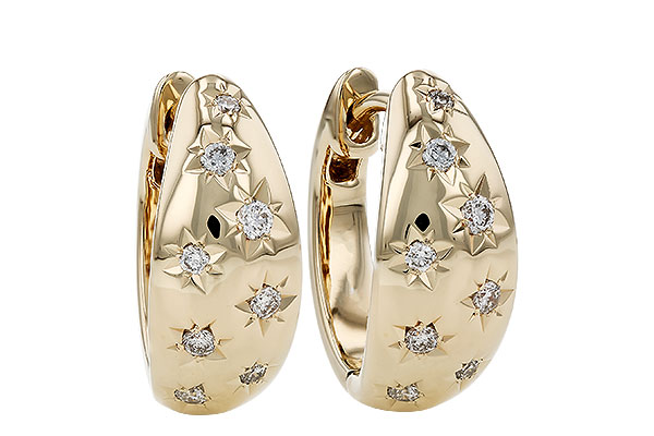 D330-09602: EARRINGS .17 TW